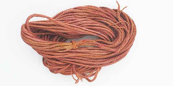 Painters Glory Soie D Alger Friedrich